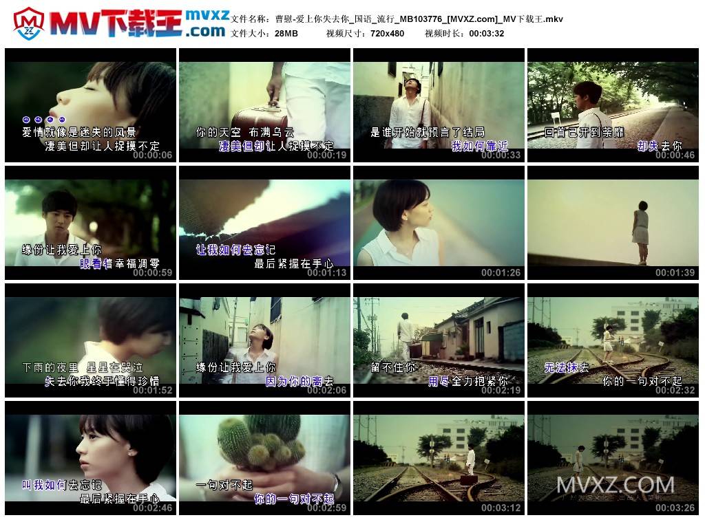 曹慰-爱上你失去你_国语_流行_MB103776